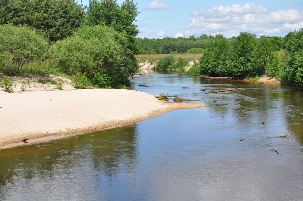 Гостиница для животных Зоогостиница Хорс, Нижегородская область, фото