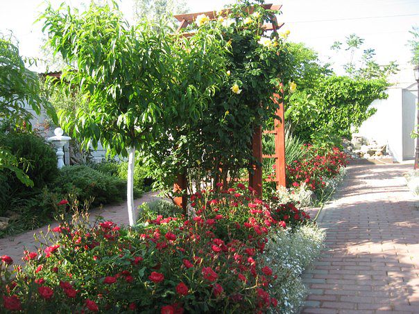 Фото Усадьба Сокол