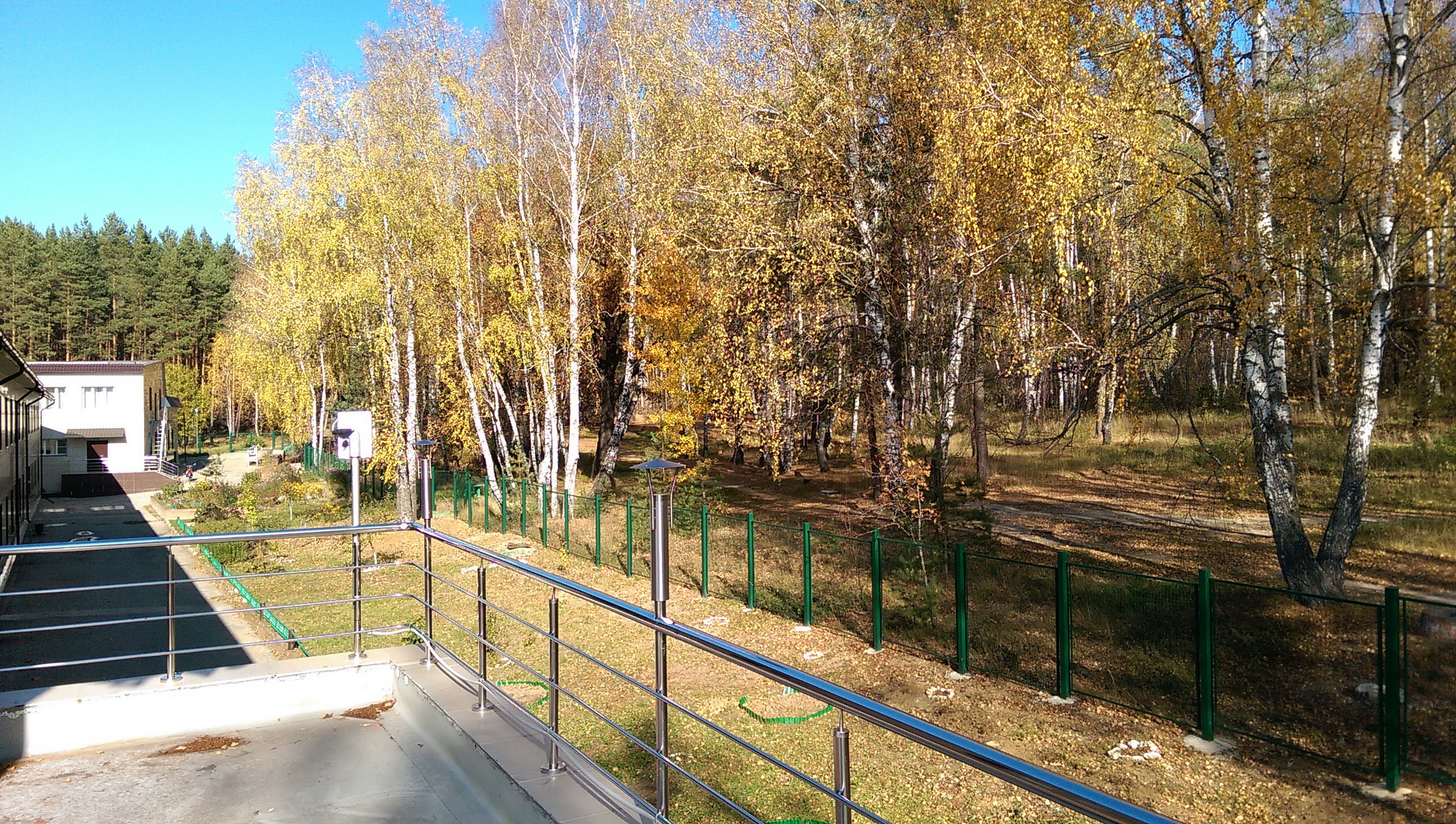 Фото Динамо