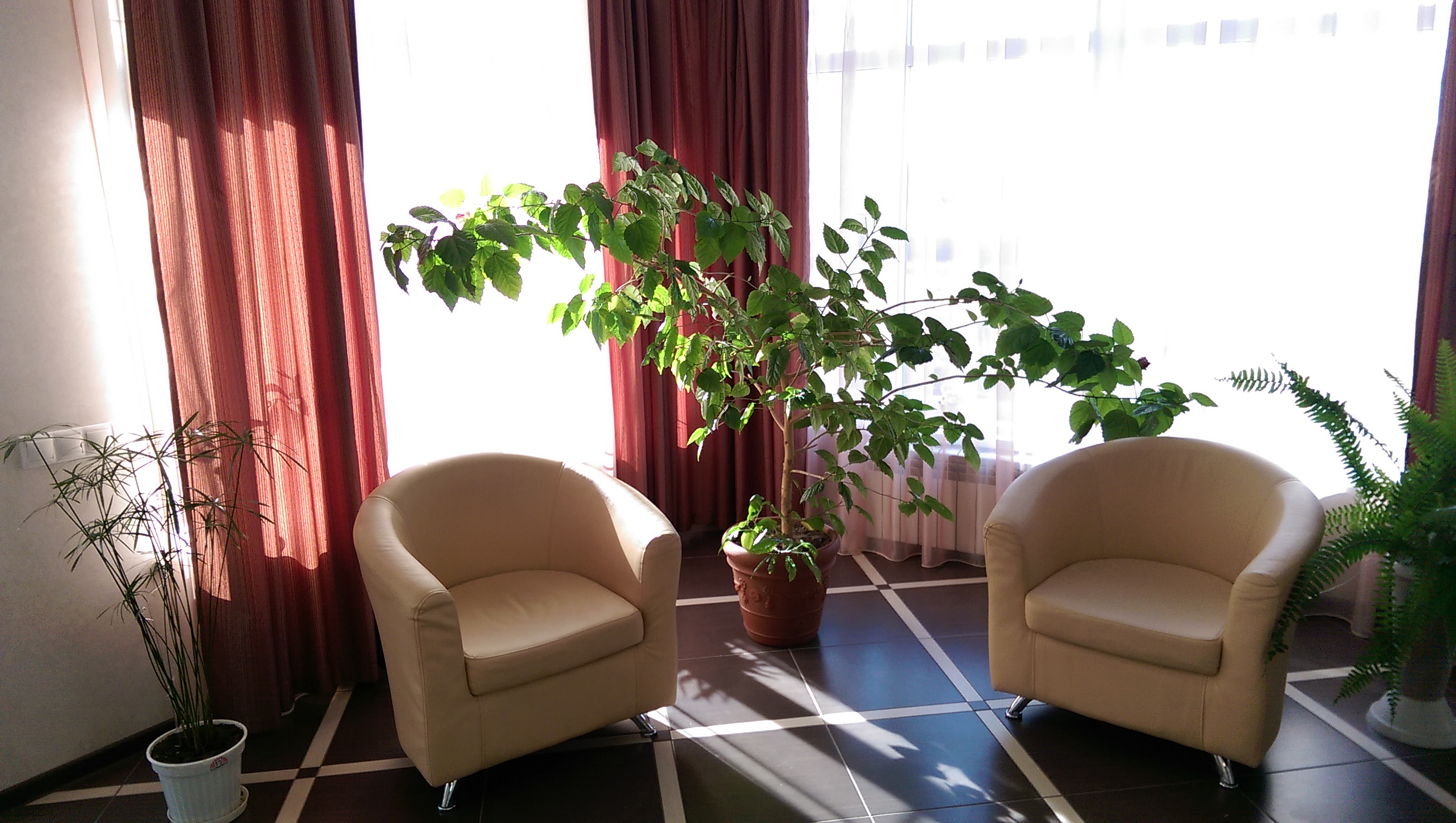 Фото Динамо