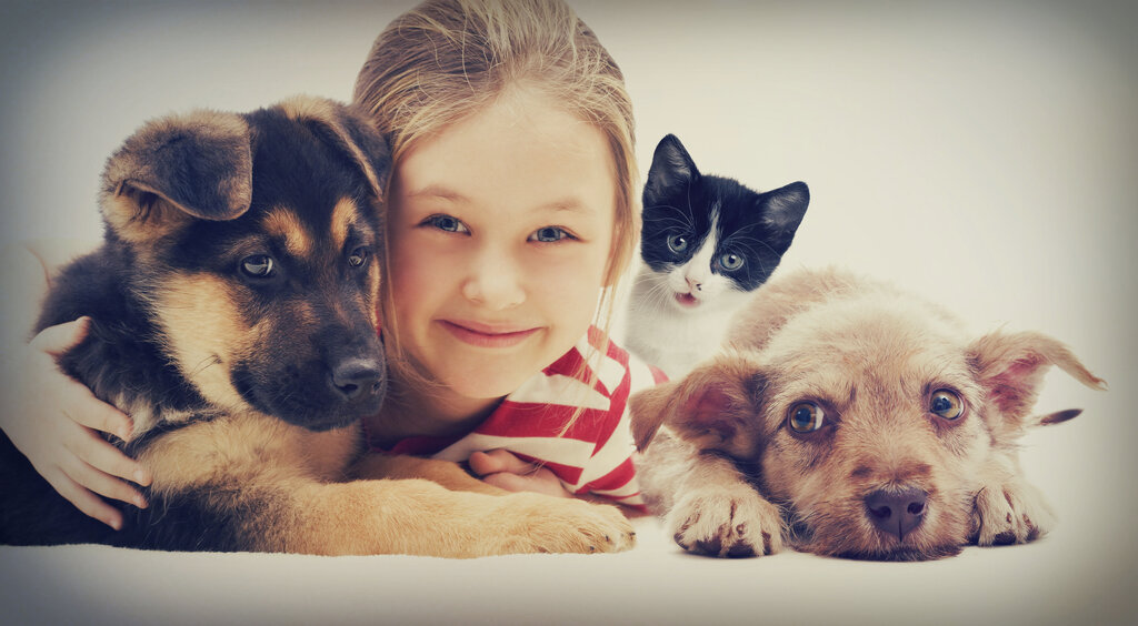 موقع إلكتروني للمعلومات Petsitter - portal o koshkakh i sobakakh ، كييف، صورة