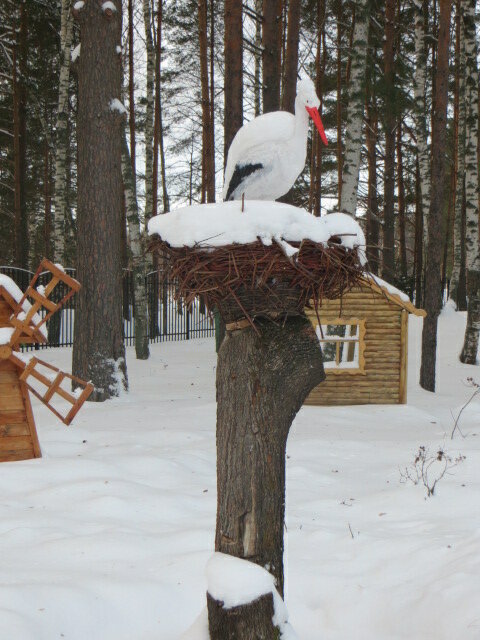 Nursing home Tunoshensky pansionat dlya veteranov voyny i truda GBU So YaO, Yaroslavl Oblast, photo