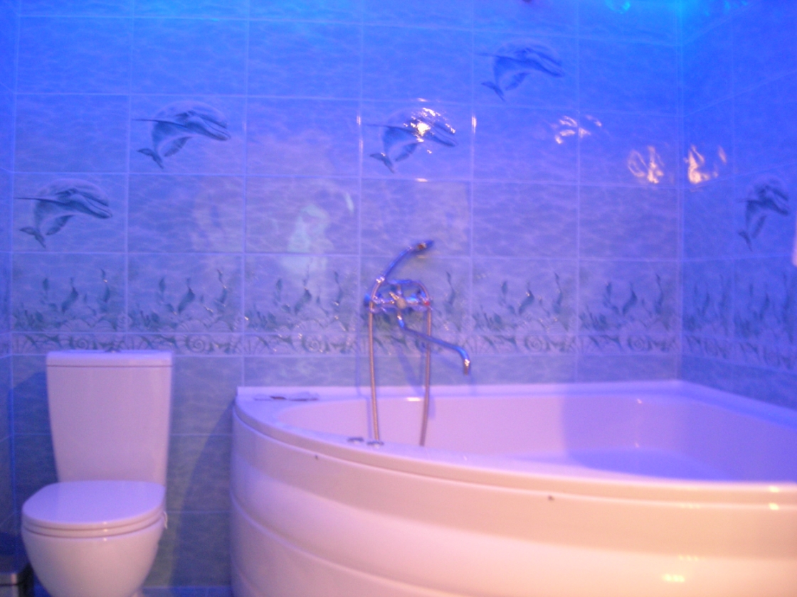 Фото Путешественник