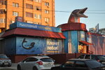 Soroga (Samara, Demokraticheskaya Street, 23) ، لوازم صيد