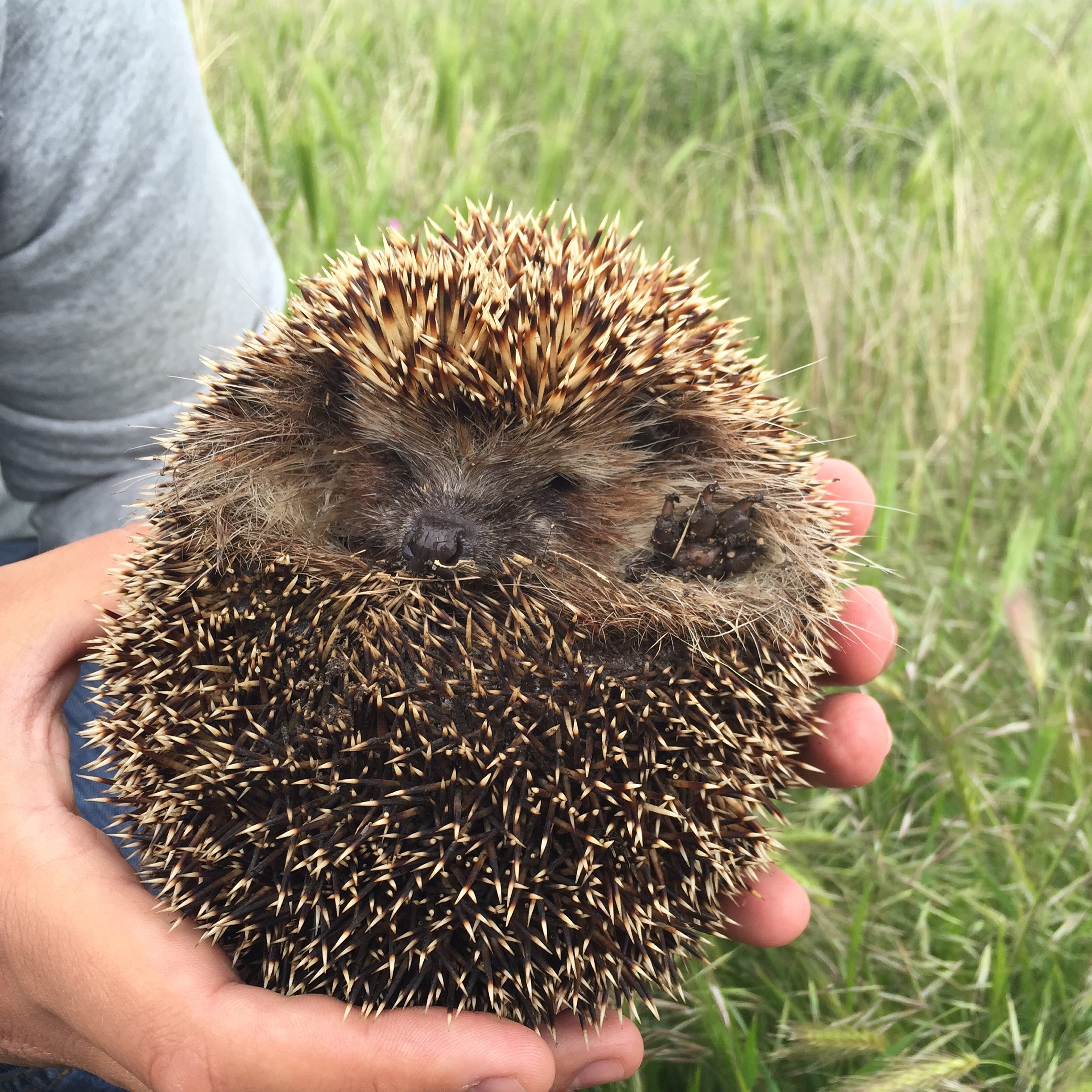 Фото Оптимист