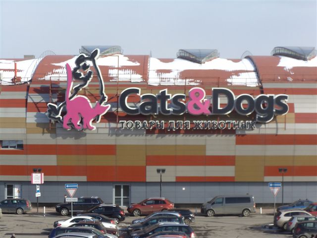 Cats & Dogs - фото 1