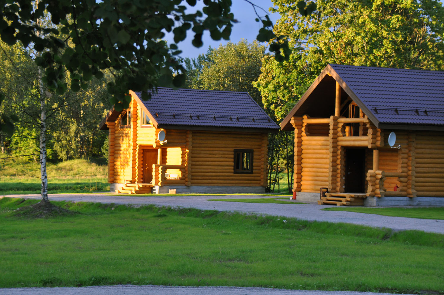 Фото Парк-отель Яркое