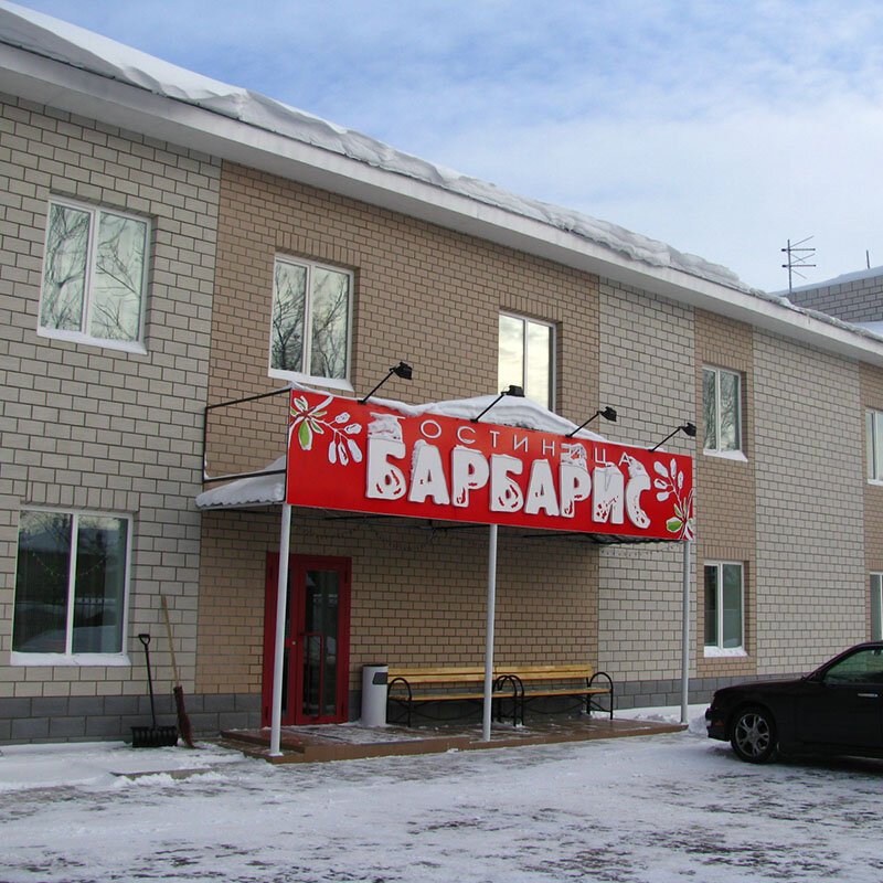 Барбарис Биробиджан фото 7