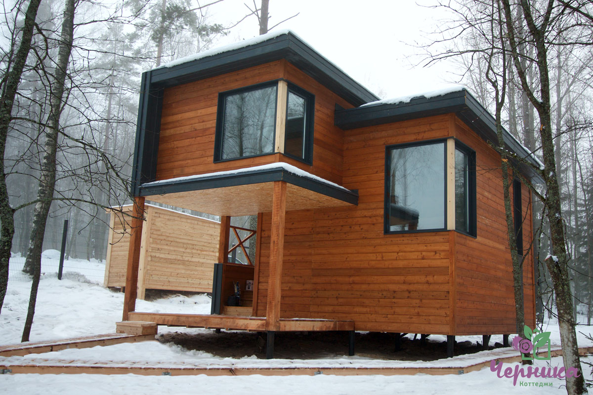 Фото Черника