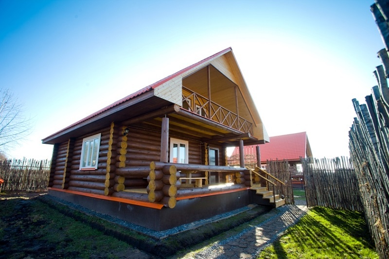 Фото Подсолнух