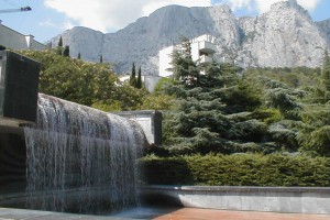 Фото Летучая мышь