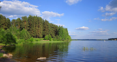 База, дом отдыха Лисицкий Бор, Тверская область, фото