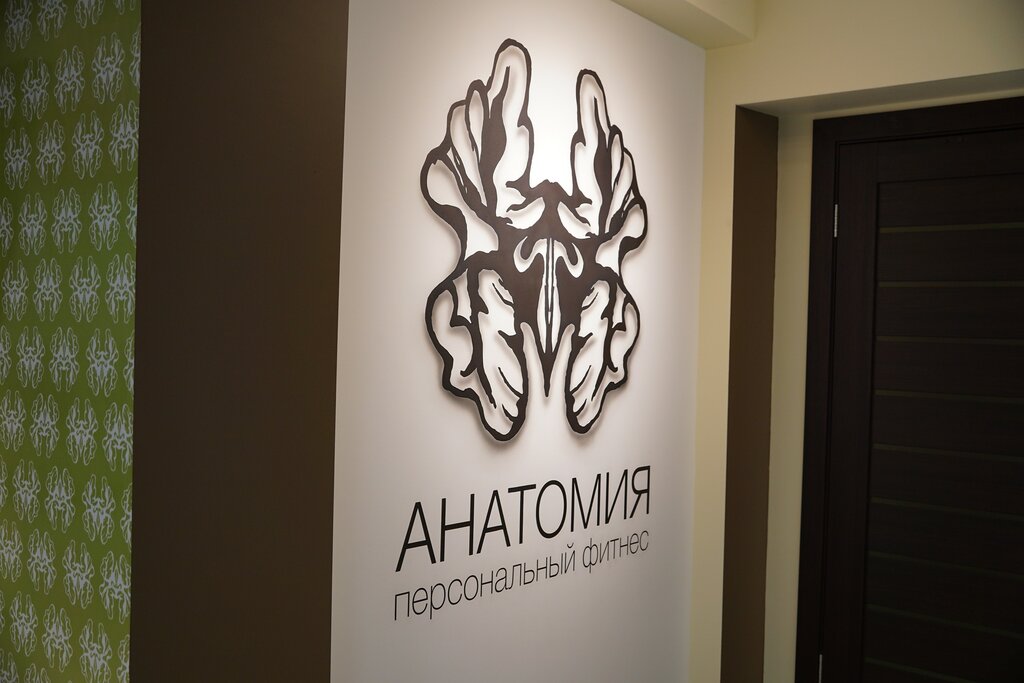 Анатомия тренажеры Усачева