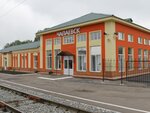 Станция Чапаевск (Samara Region, Chapayevsk, mikrorayon Tsentr), estación de tren