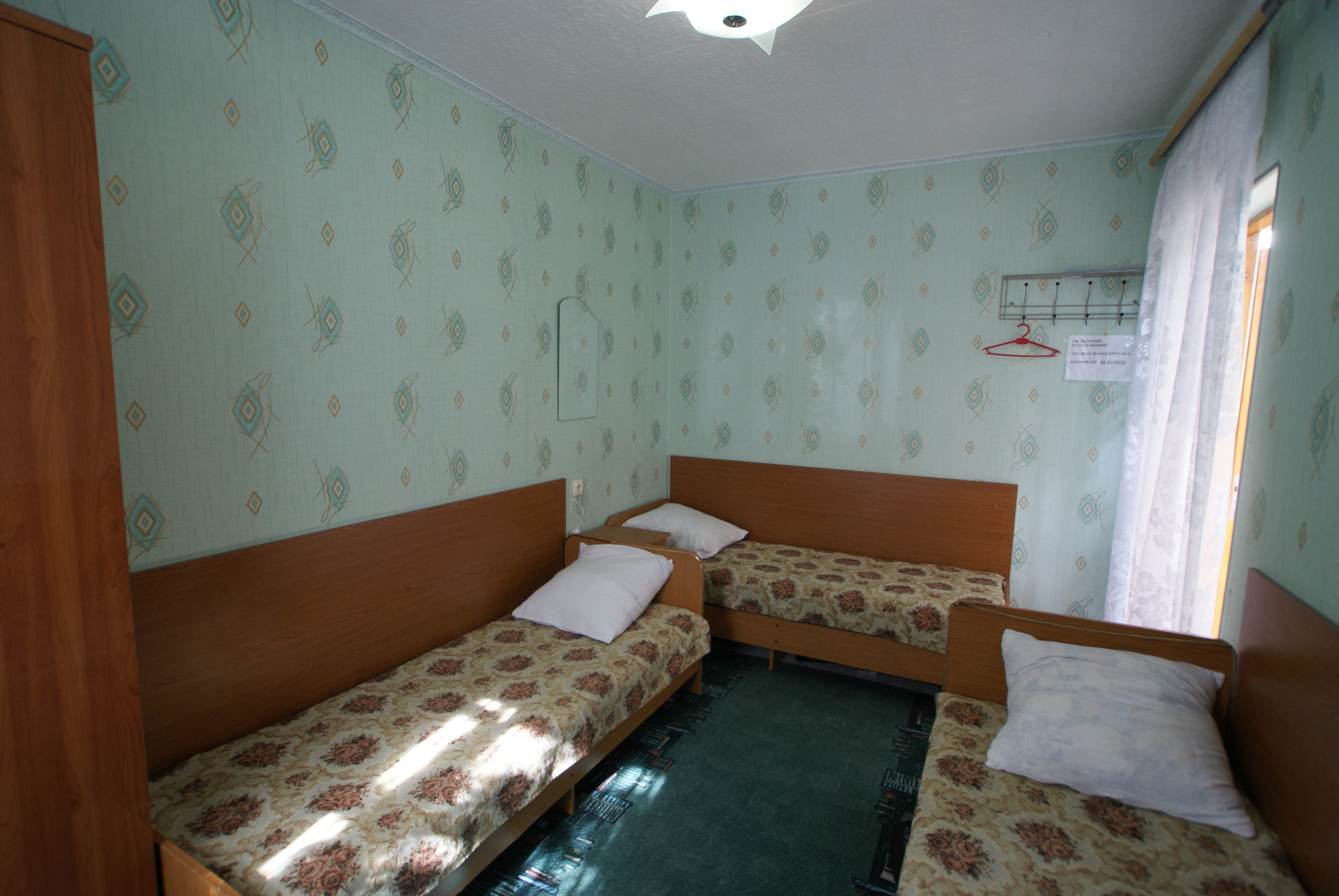 Фото Адениум