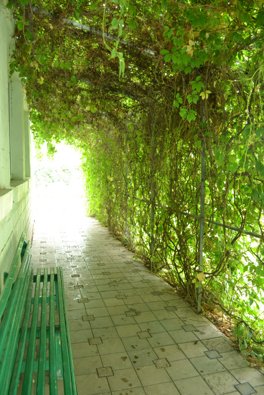 Фото Колизей