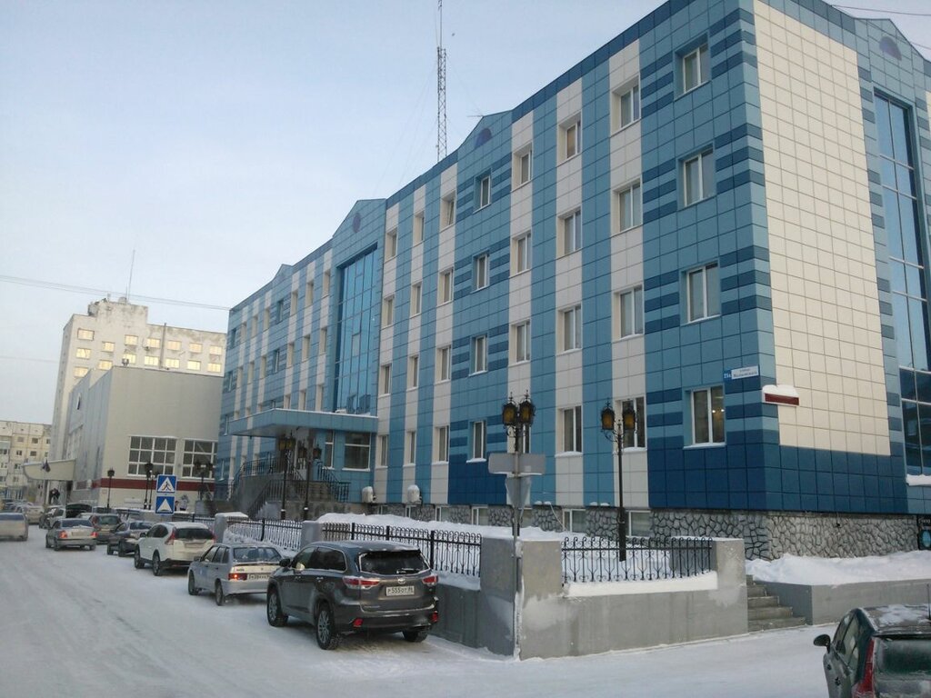 Чоу дпо тесла