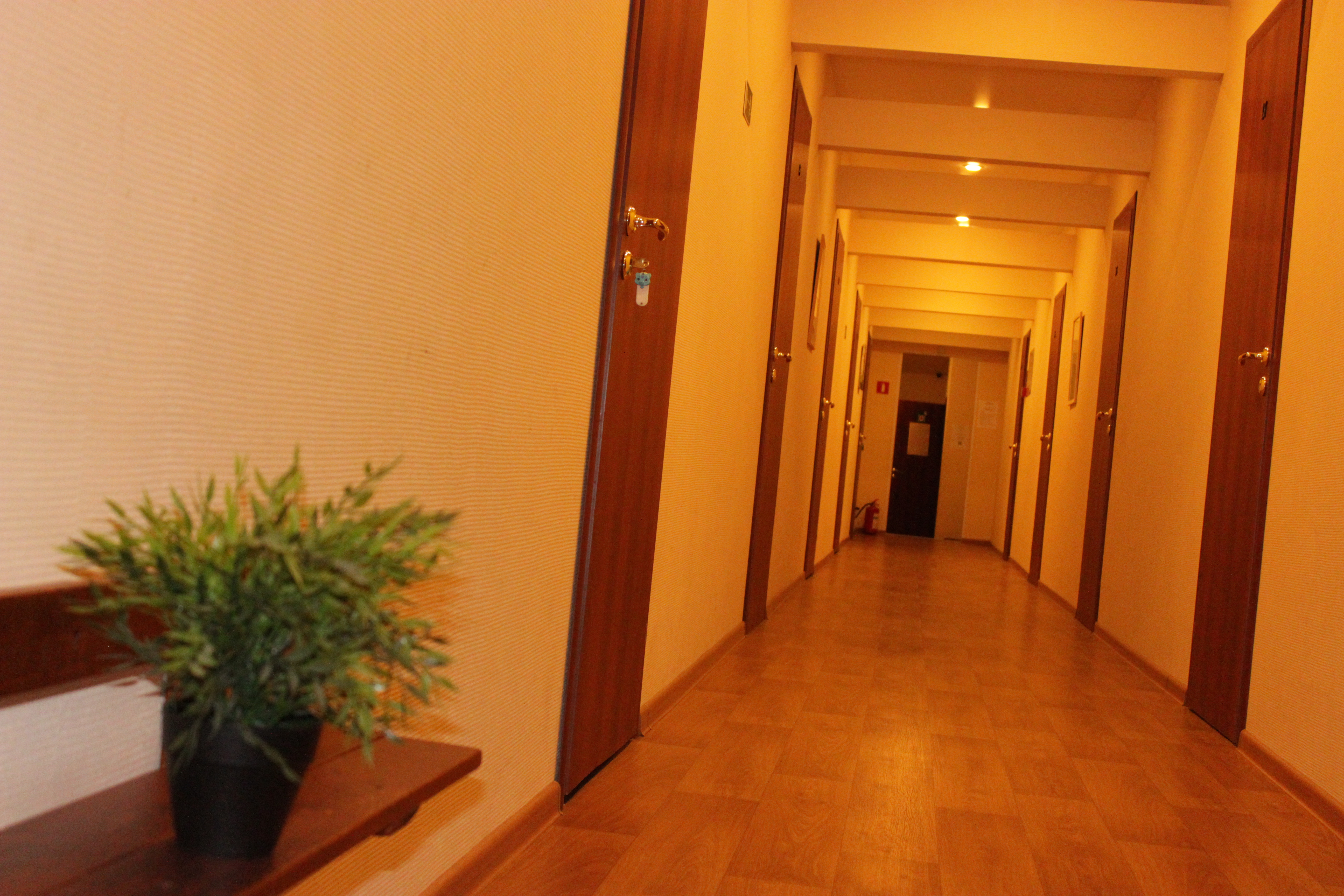 Фото Green Point