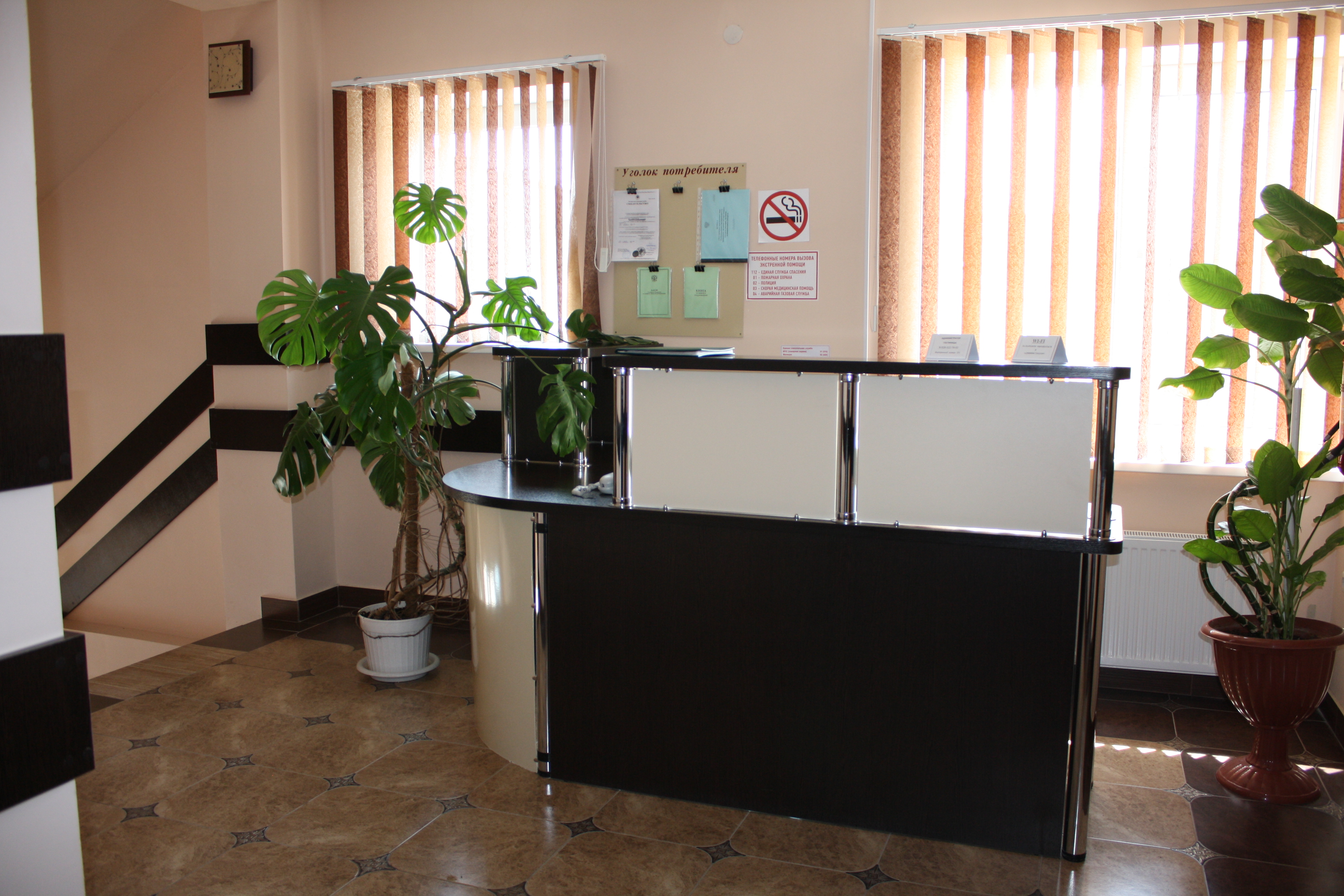 Фото Мишель