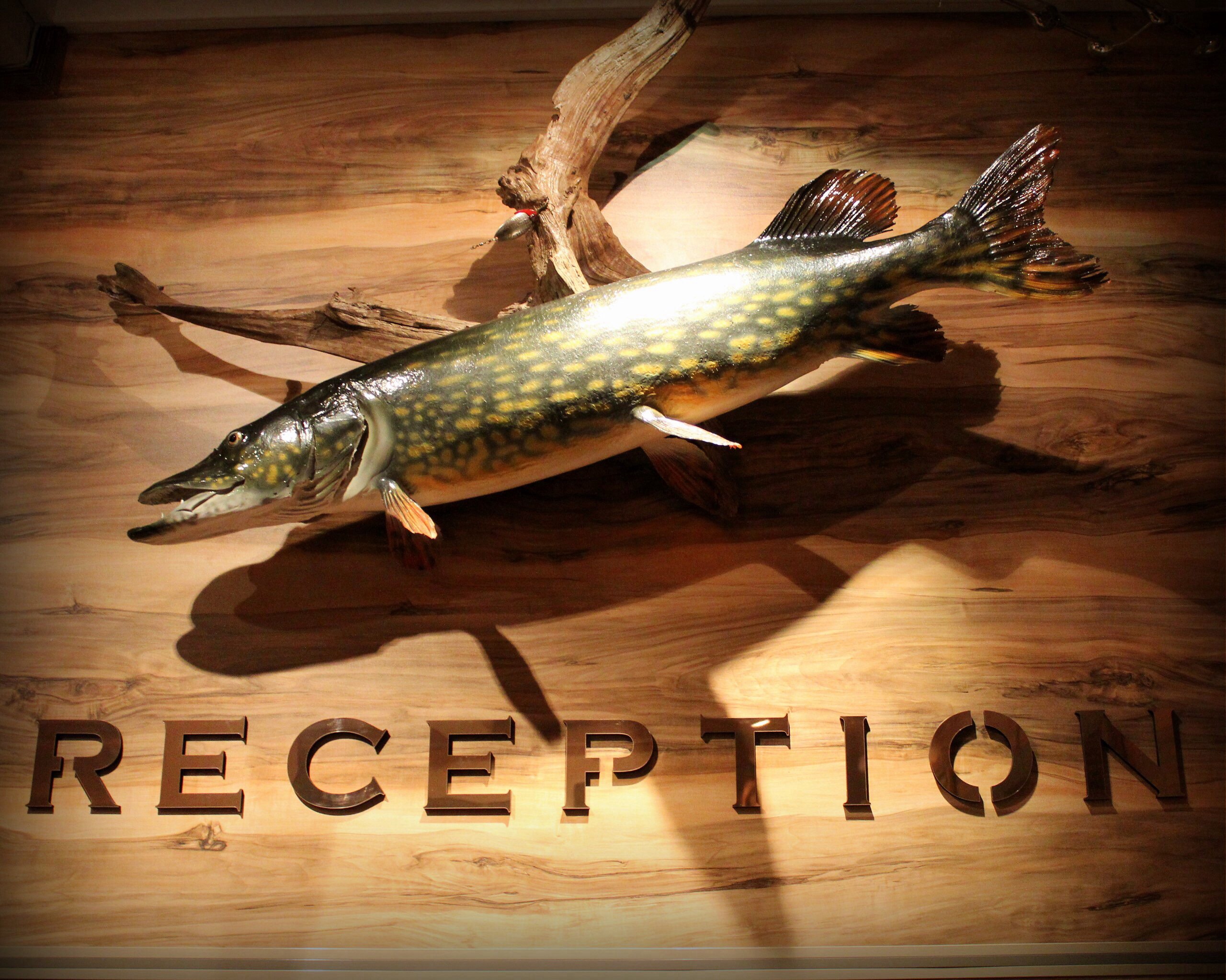 Фото 7 Пятниц