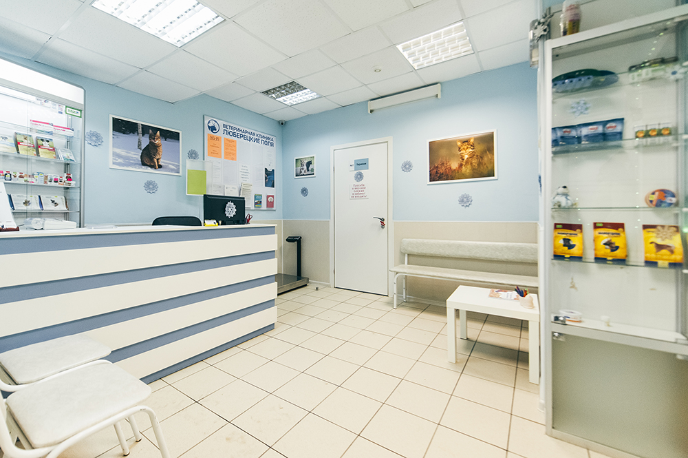 Карта ветеринарной клиники