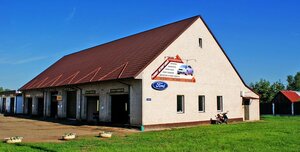 Sto Ip Survila G. F. (ulitsa Yevfrosinyi Polotskoy, 35А), car service, auto repair
