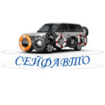 Фото 3 СейфАвто - Автострахование, Договор купли-продажи