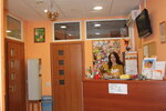 Rechevoy tsentr Logoped Plyus (Snezhnaya Street, 16к5), logopedas