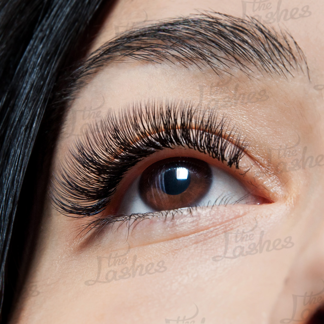 The Lashes