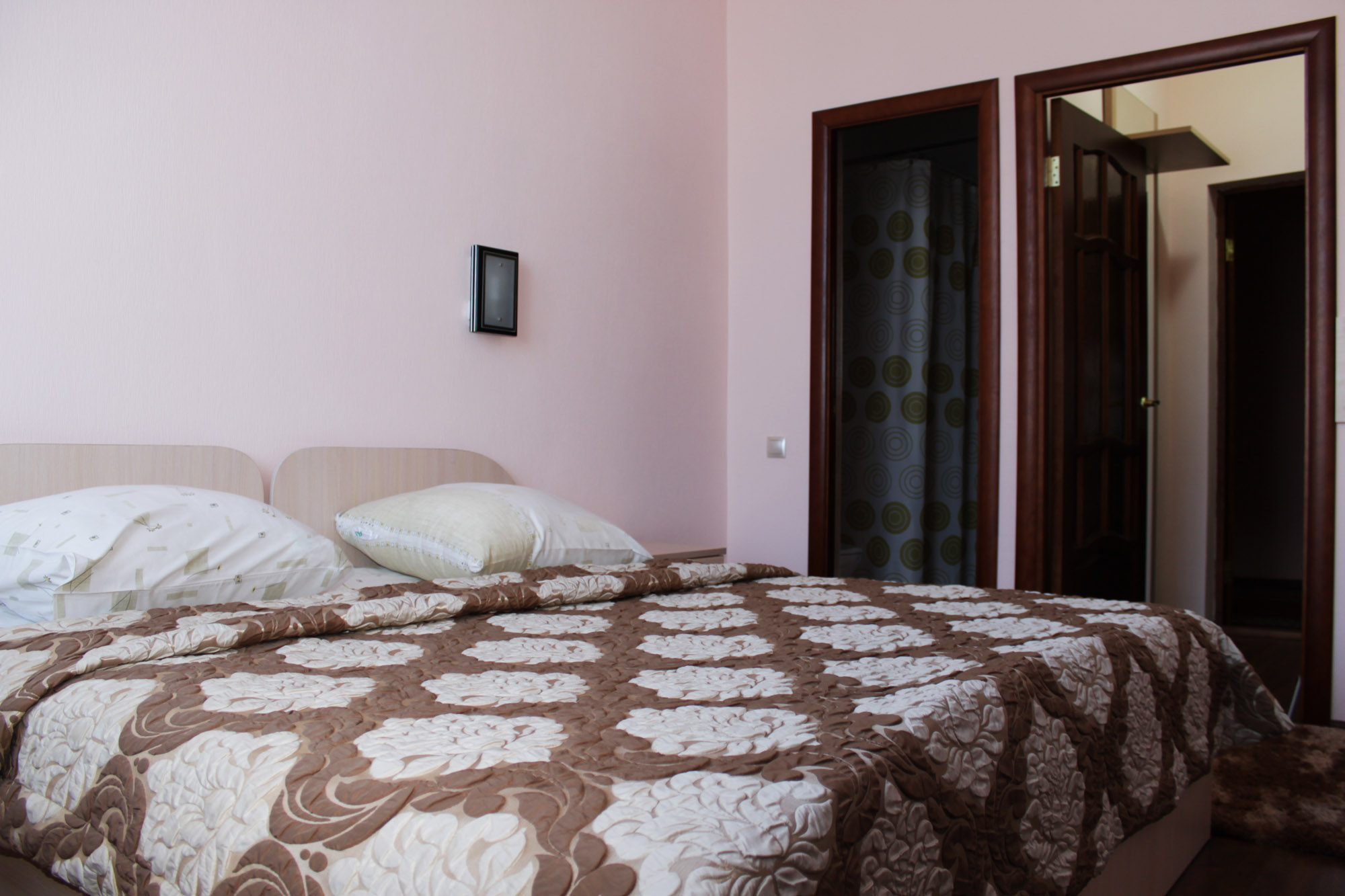 Фото Камелия-В