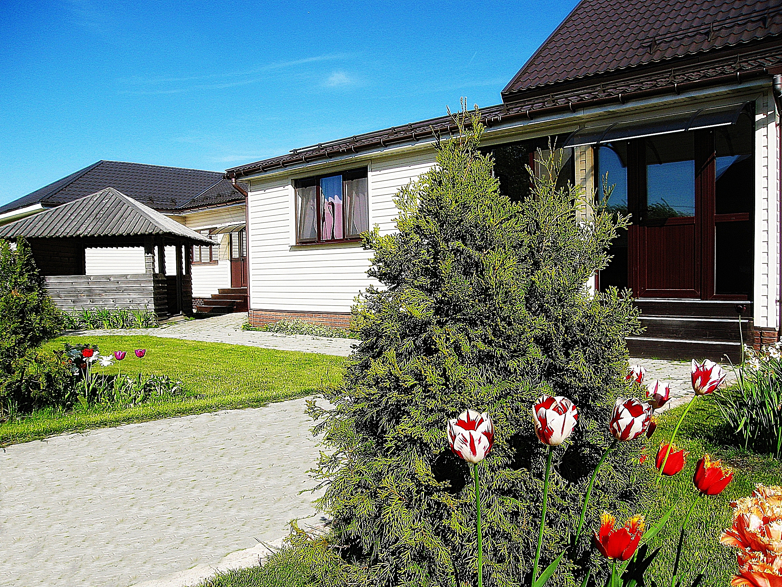 Фото Катарина Хоф