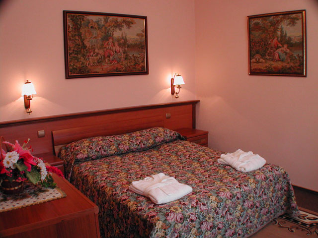 Фото Черепаха