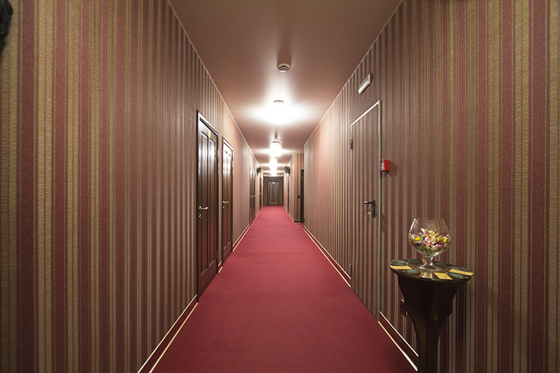 Фото Абрикос