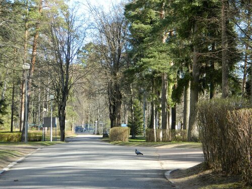 Северная Ривьера  фото 7