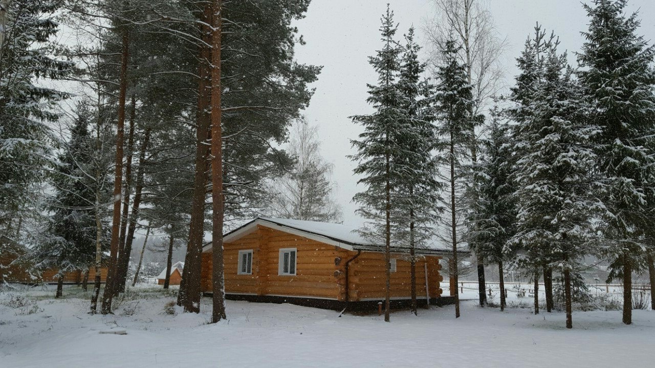 Фото Пикник