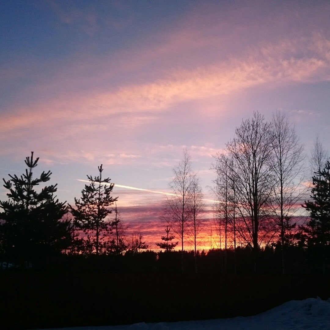 Фото Мичуринский дворик