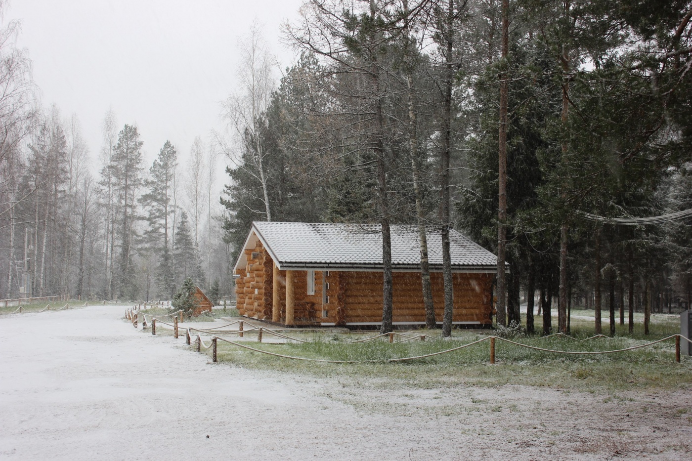 Фото Пикник