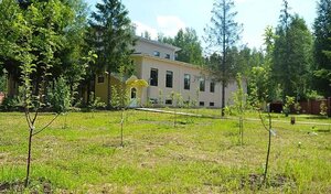Золотая осень