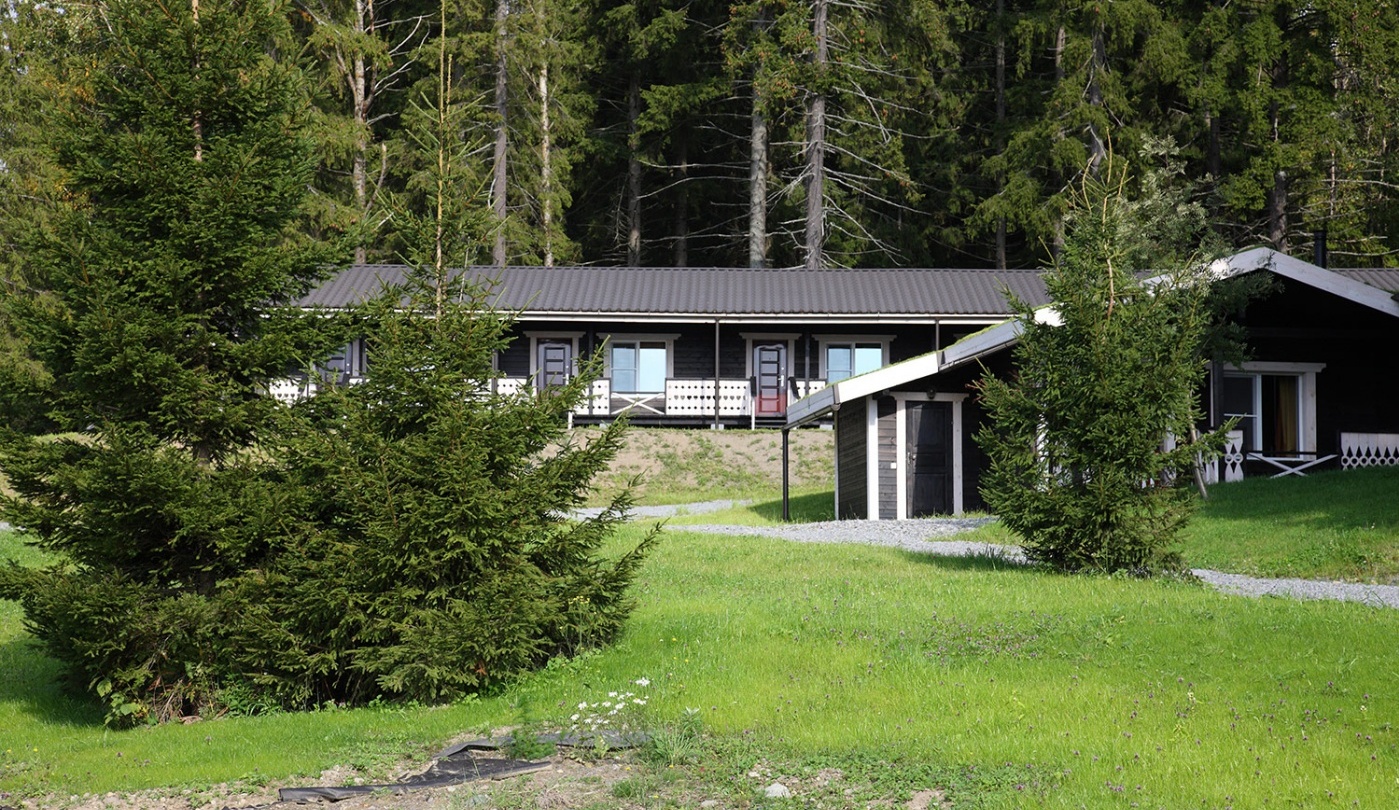 Фото Времена Года