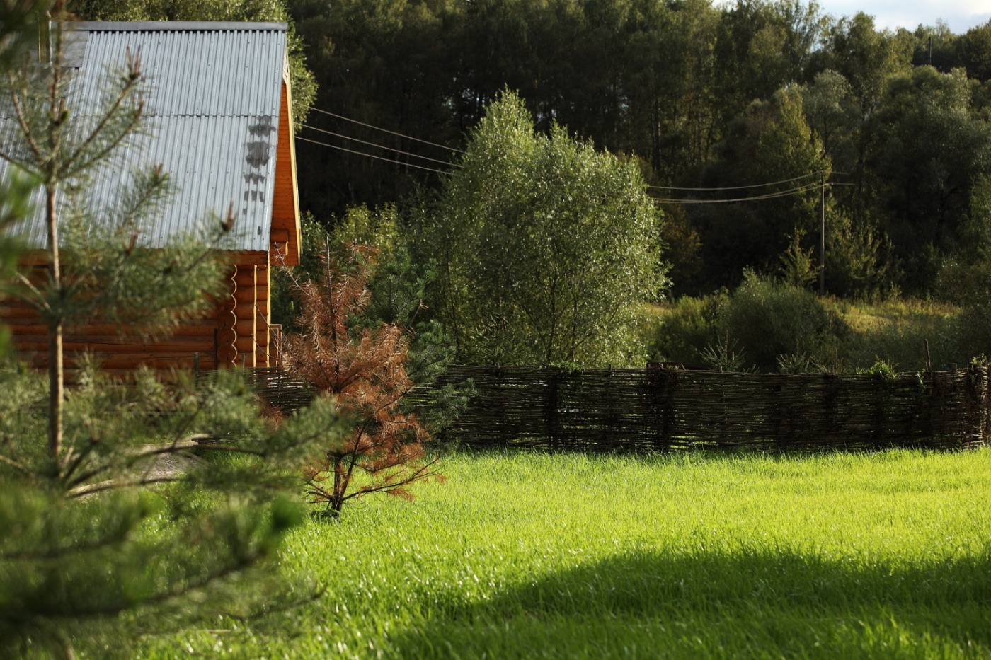 Фото Лукино