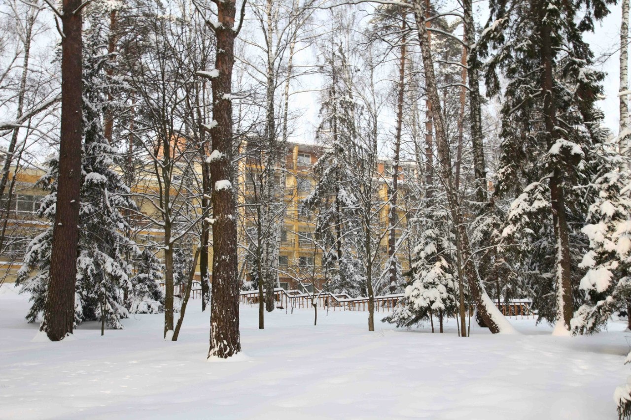 Фото Яхонты Истра