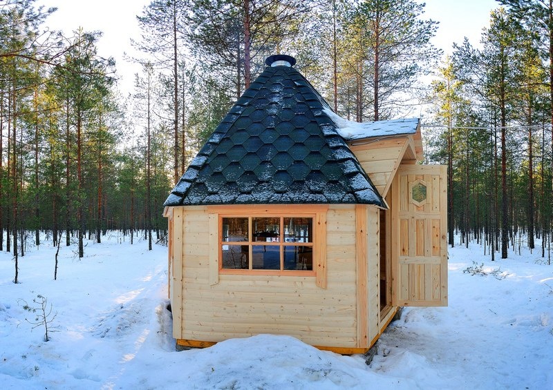 Фото Шишки на Лампушке