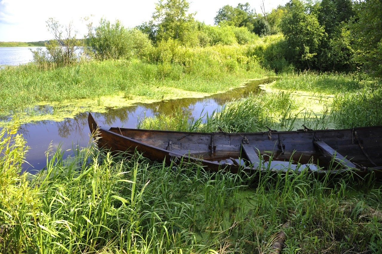 Фото Староладожская дача