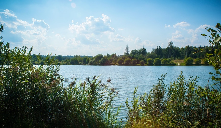 Фото Рыболовный клуб Литвиново