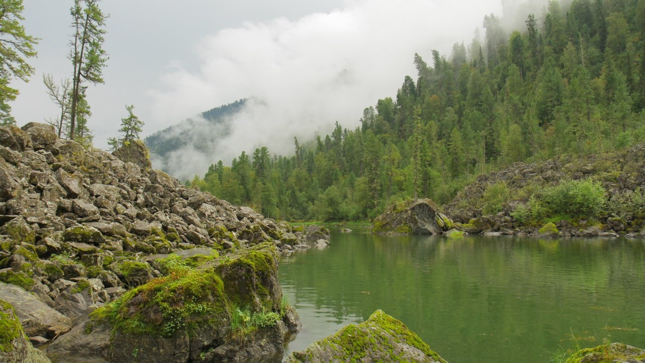 Фото Бия заповедная