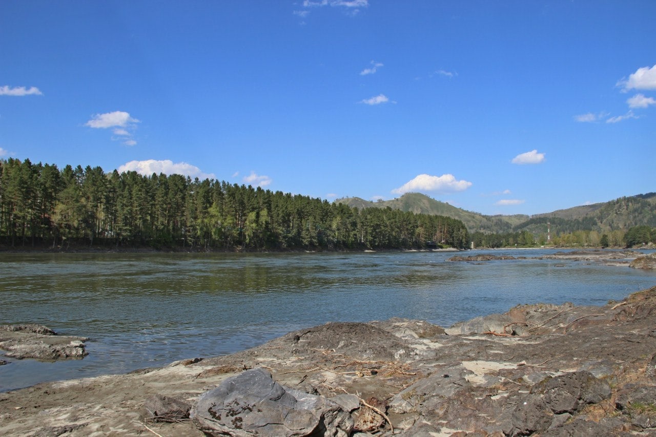 Фото Авелия