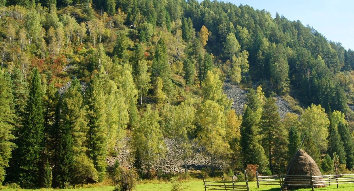 Фото Гостиница Артыбаш
