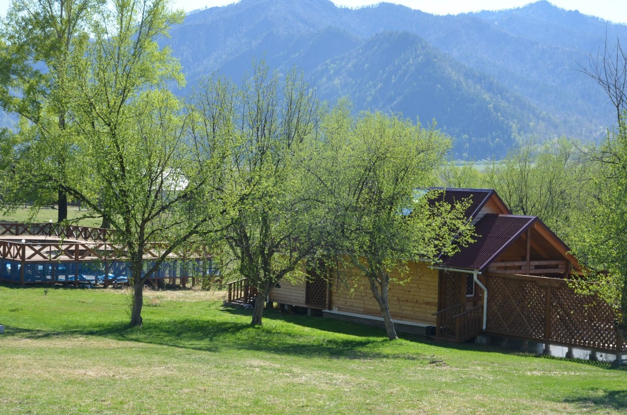 Фото Горный источник