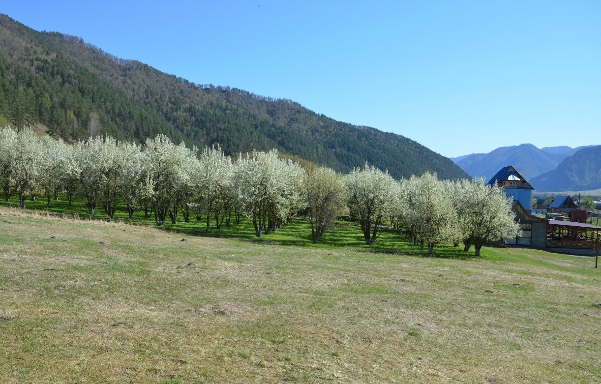 Фото Горный источник