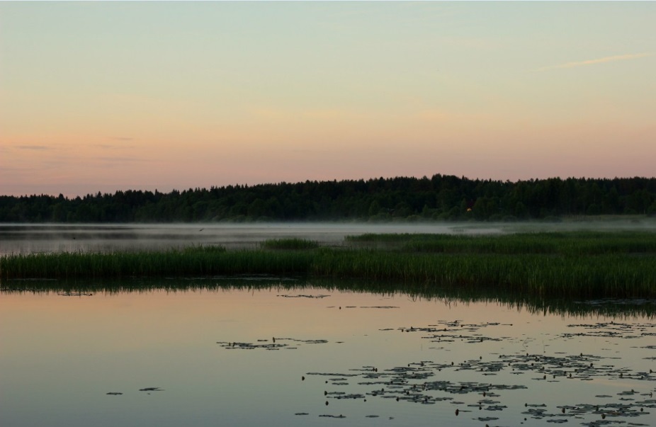 Фото Вселуг